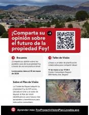 Foy Property Vision Plan Flyer